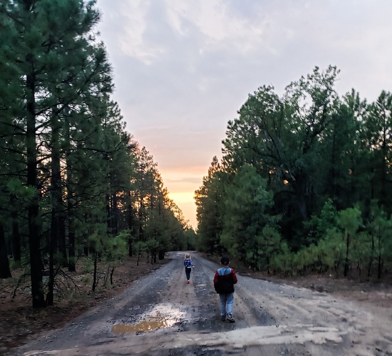 Two children walking on a family hiking trail in the forest at sunset