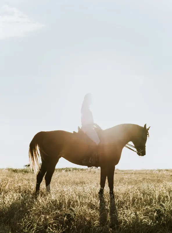 A woman riding a horse in a field near Big Sky Montana