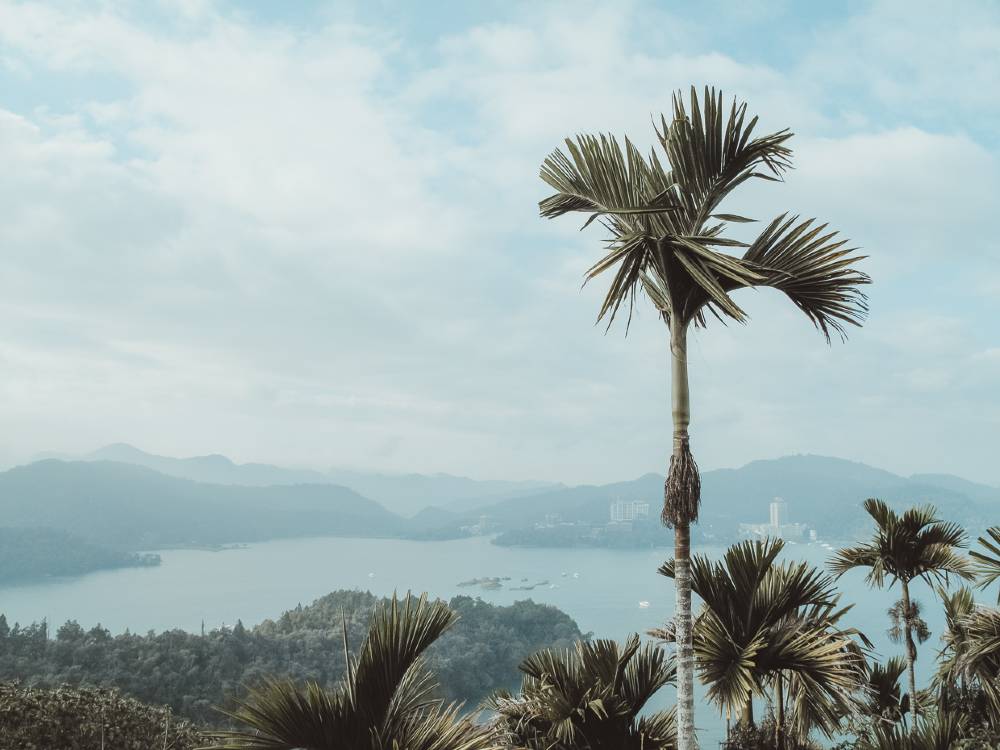 Mountains, cliffs, the sea, and palm trees in Taiwan, one of the most underrated countries to visit