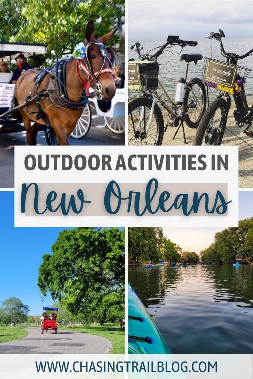 A photo collage with a horse pulling a carriage; two bicycles at Lake Pontchartrain; kayakers paddling down Bayou St. John; and a surrey in City Park