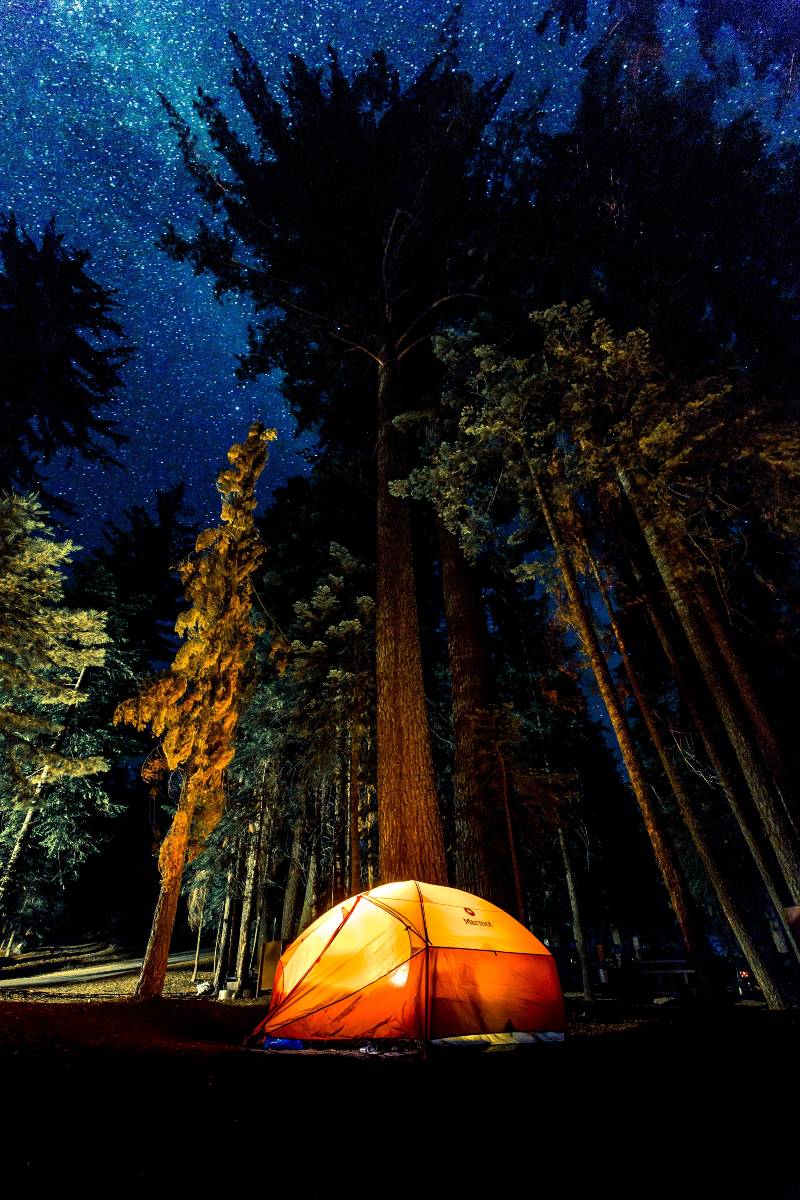 An orange tent in the forest with tons of stars overhead in the night sky