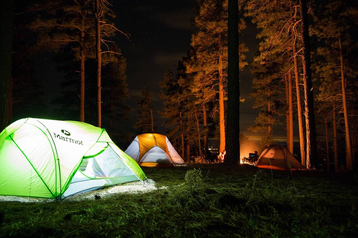 Several tents illuminated in the night sky in a forest