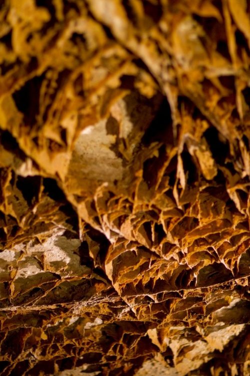 A close-up of a boxwork formation in Wind Cave National Park, one of the Great 8 South Dakota