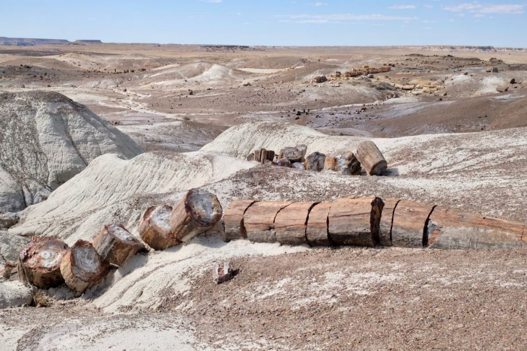 Petrified wood and badlands in Petrified Forest National Park, a unique Arizona bucket list destination