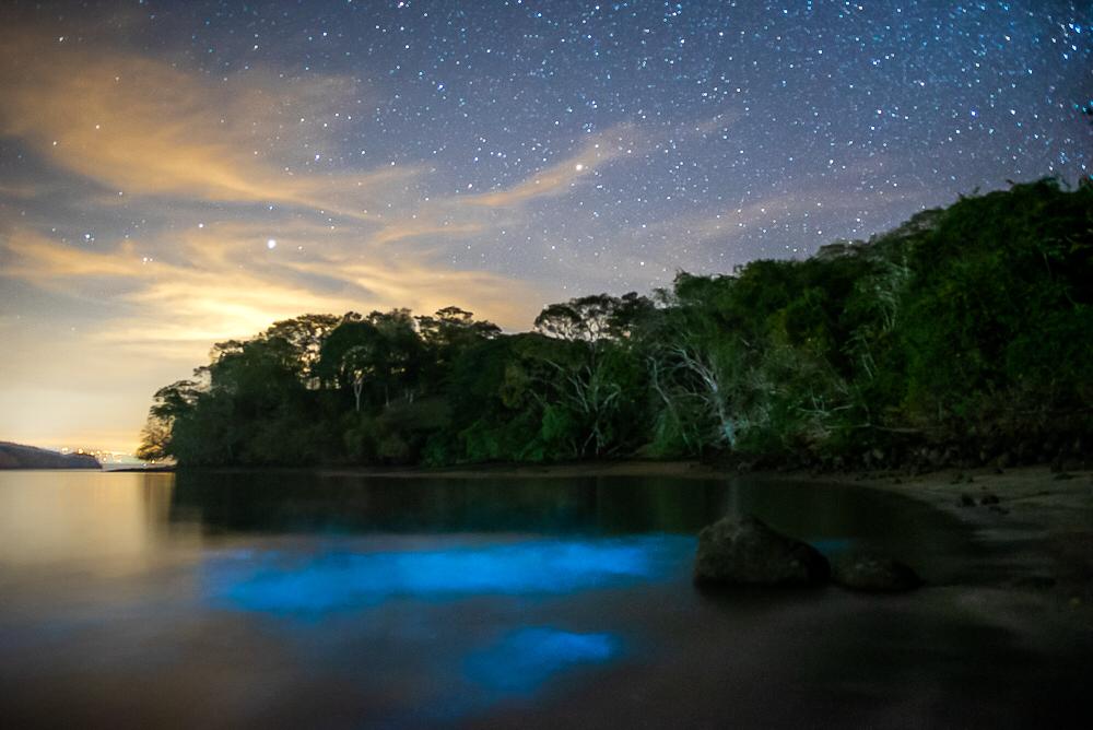 A blue area of bioluminescence in Punta Cuchillos, Costa Rica, one of the least-known bio bays in the world