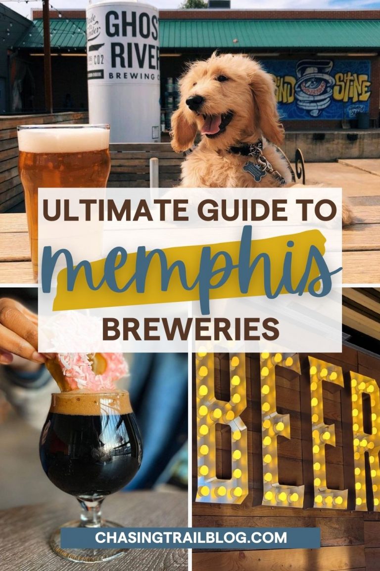 Cheers! Sip Your Way Through the Best Memphis Breweries
