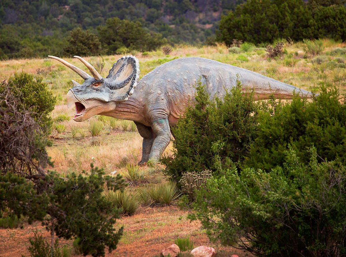 A life-size dinosaur at the Dinosaur Experience, one of the most popular things to do near the Royal Gorge