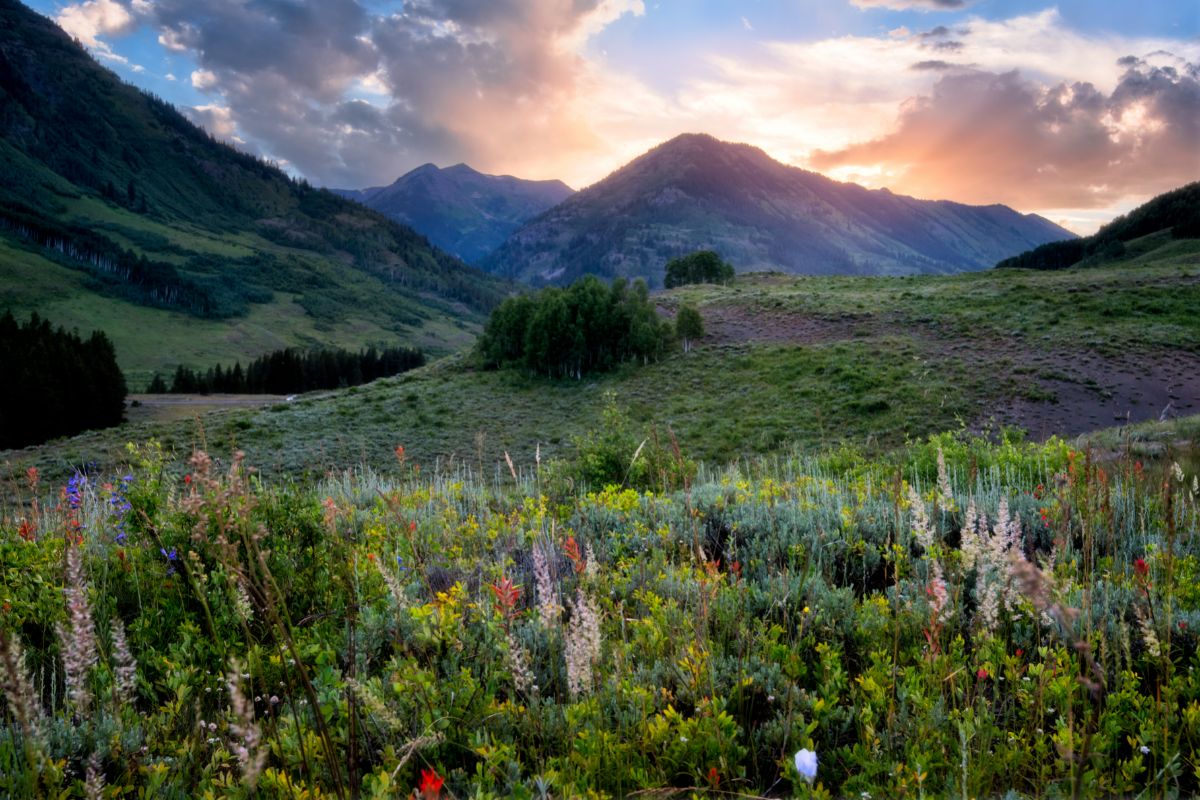 Sunrise over a mountain range and a field of wildflowers in Crested Butte, one of the best mountain towns in Colorado