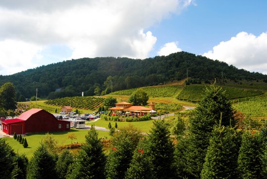 An overview of the grounds and red barn at Linville Falls Winery, a popular winery near Boone NC