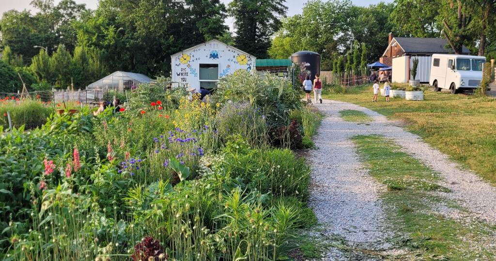 A path and flower gardens at Raleigh City Farm, one of the best outdoor activities in Raleigh NC