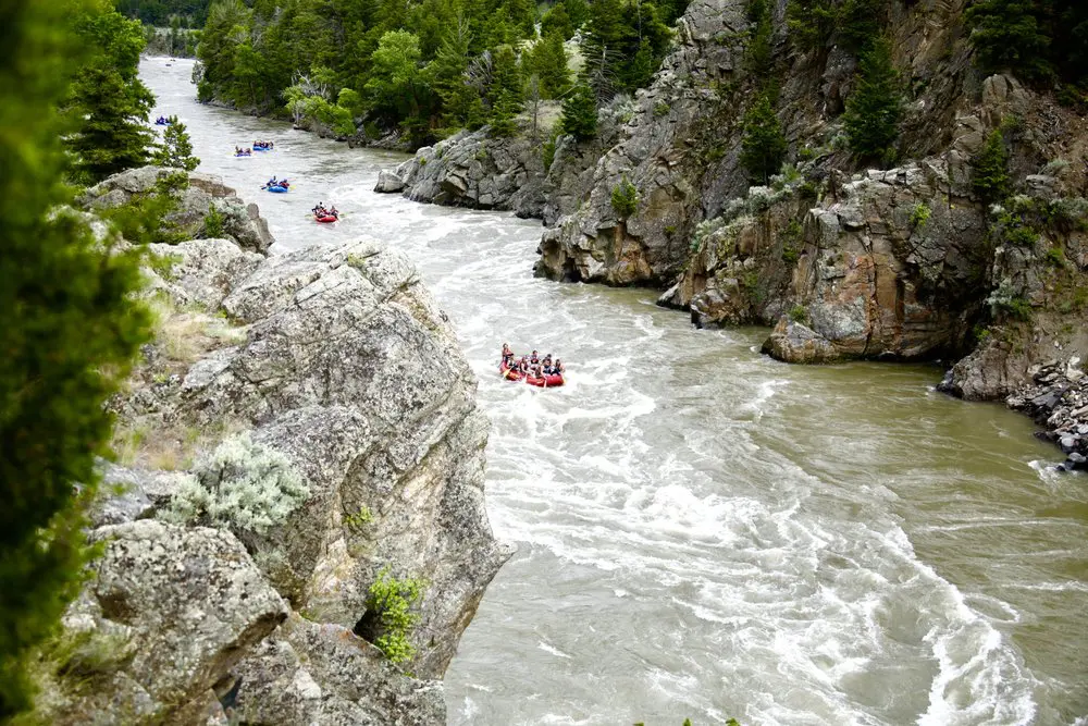 Several groups of people white water rafting near Yellowstone National Park