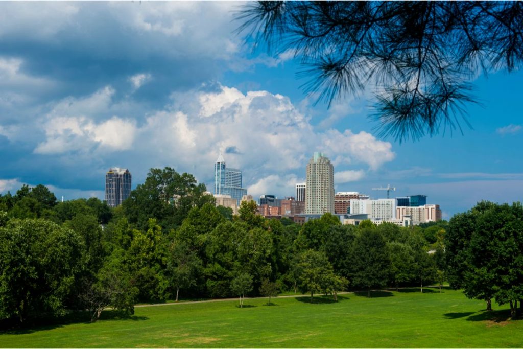 The skyline peeking above the trees at Dorothea Dix Park in Raleigh NC