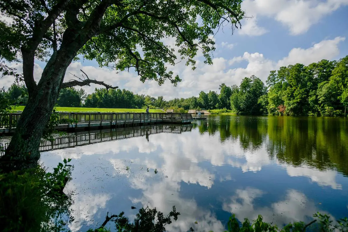 20+ Outdoorsy, Tasty & Free Things to do in Raleigh NC