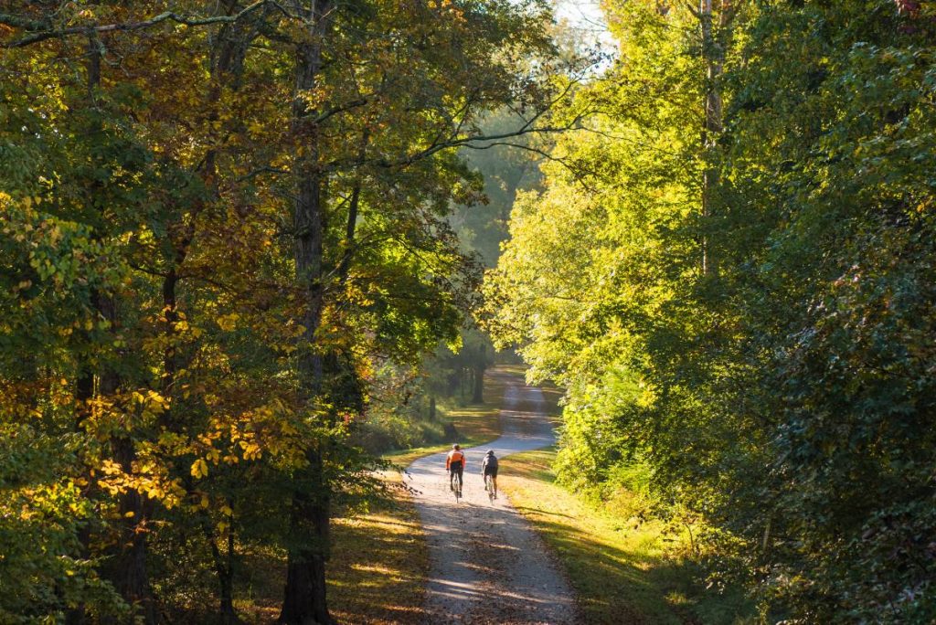 Two cyclists on a path on the Neuse River Greenway Trail, one of the best outdoor activities in Raleigh NC