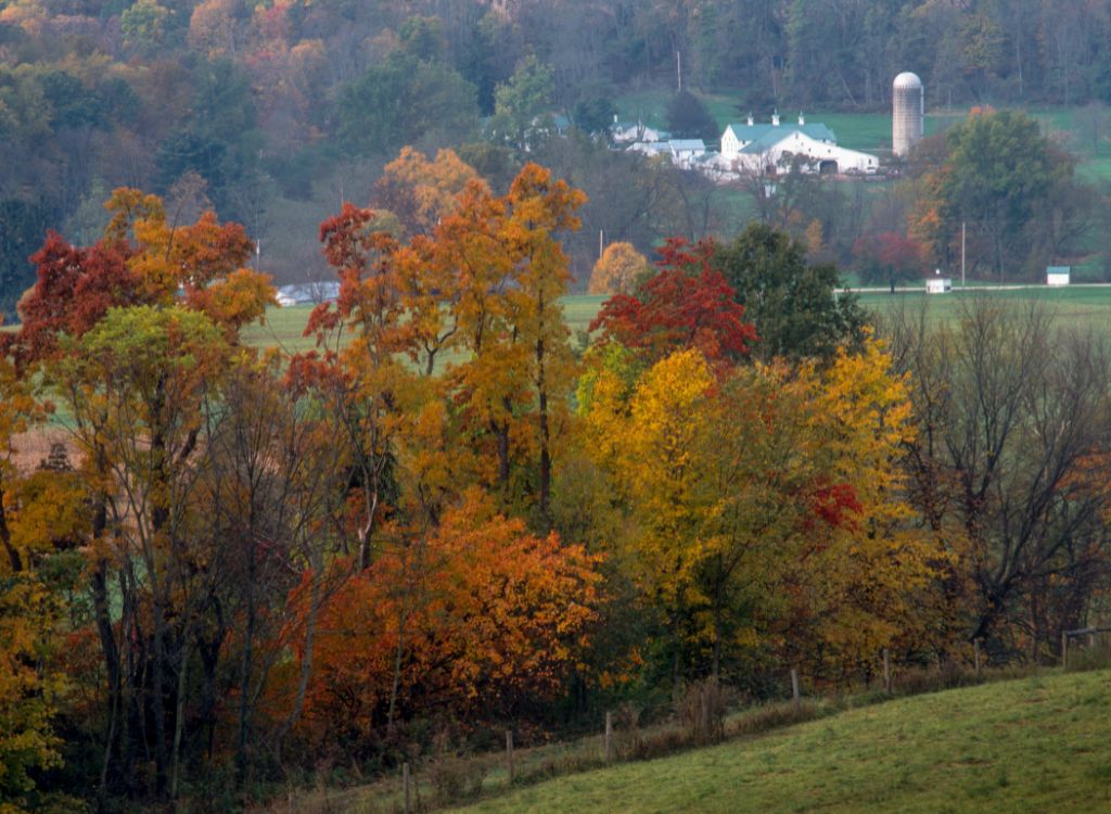 Aerial view of the farm and estate at Malabar Farm State Park, near the Mohicans Treehouses