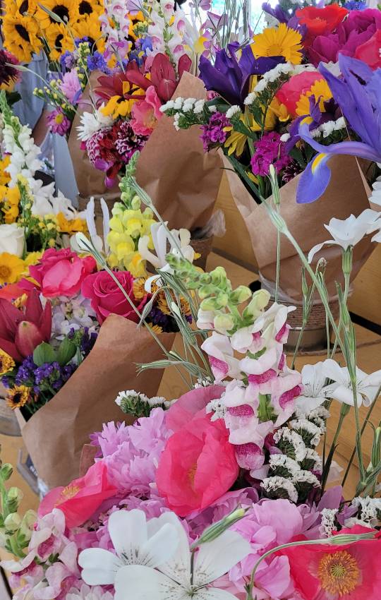 Flowers for sale at the North Carolina State Farmers Market, one of the best things to do in Raleigh NC