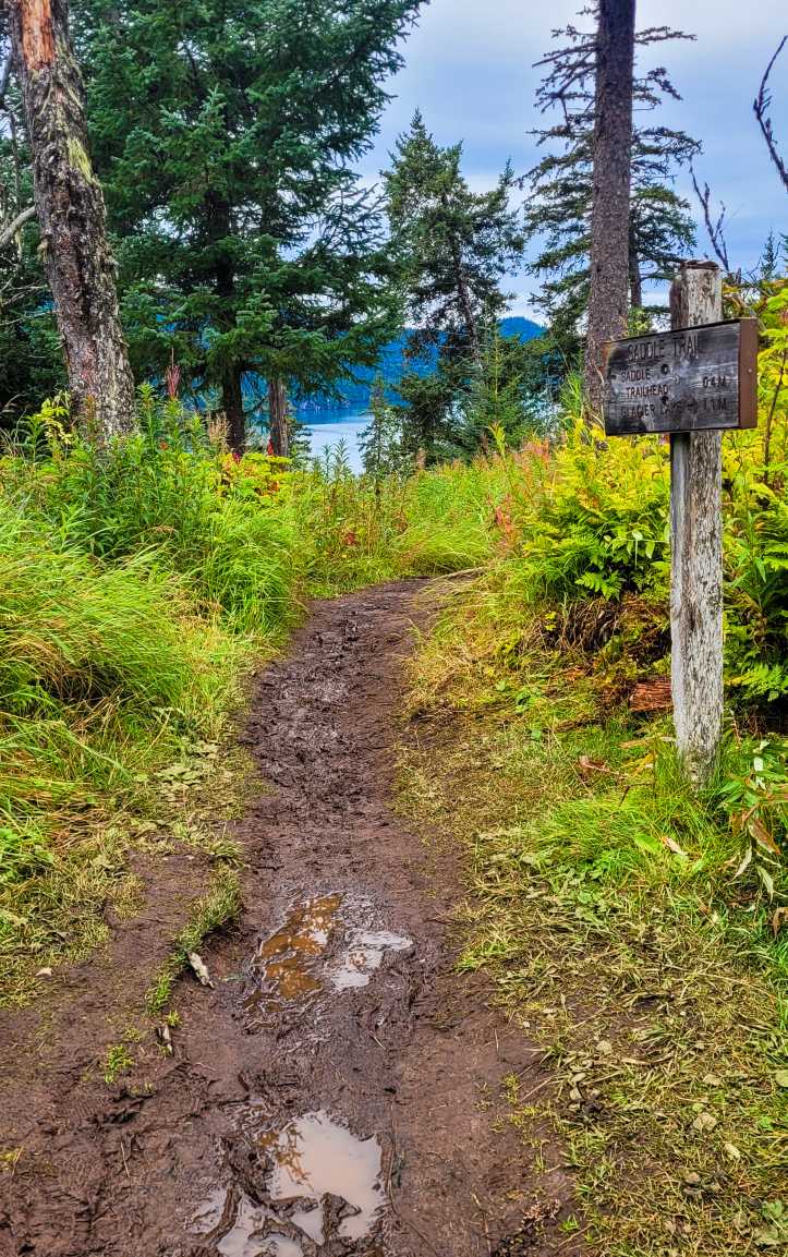 A trail sign along a muddy stretch of the Grewingk Glacier trail