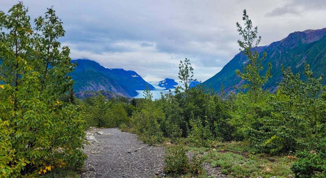 A view of Grewingk Glacier through foliage along the trailhead