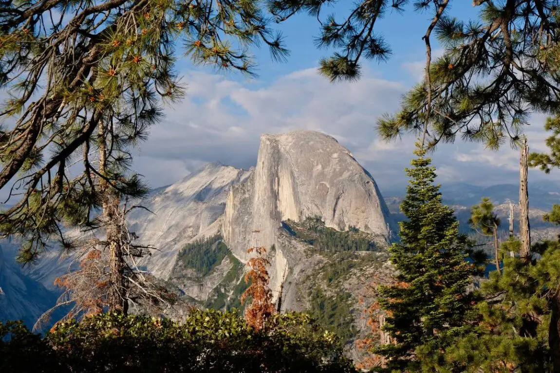 Half Dome, as seen between a perfect frame of trees