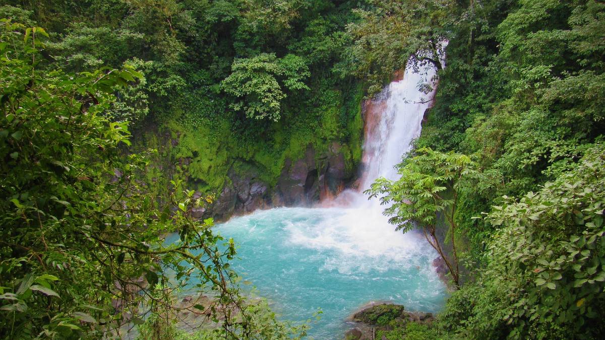 view of jungle and water cascading from one of many waterfalls in Costa Rica