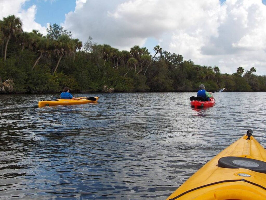 view of 3 kayayers paddling at the lee county manatee park while kayaking with manatees in Florida