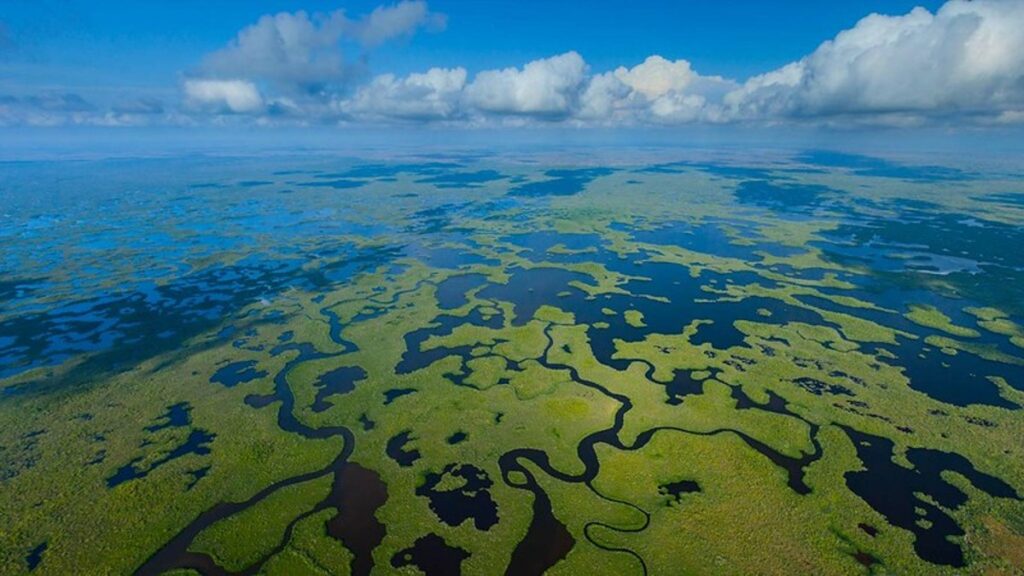aerial view of the everglades national park, awesome location for kayaking with manatees in Florida