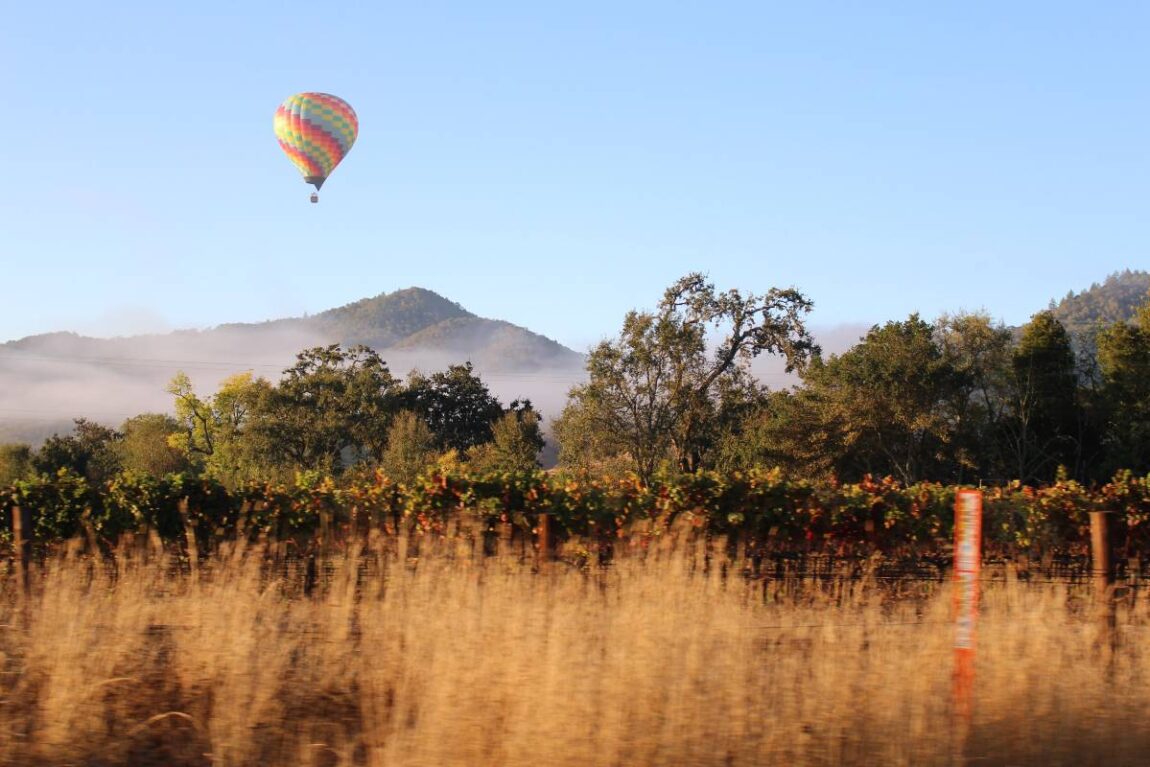 A hot air balloon over vineyards and in front of mountains in Napa Valley