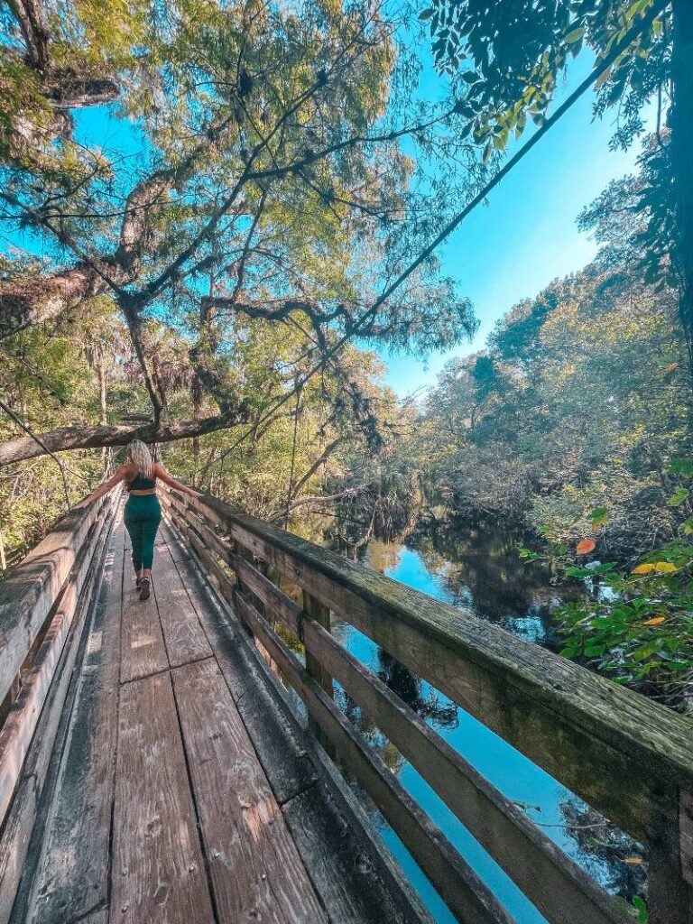 A woman walking on a boardwalk trail in Hillsborough River State Park, one of the best hikes in Florida