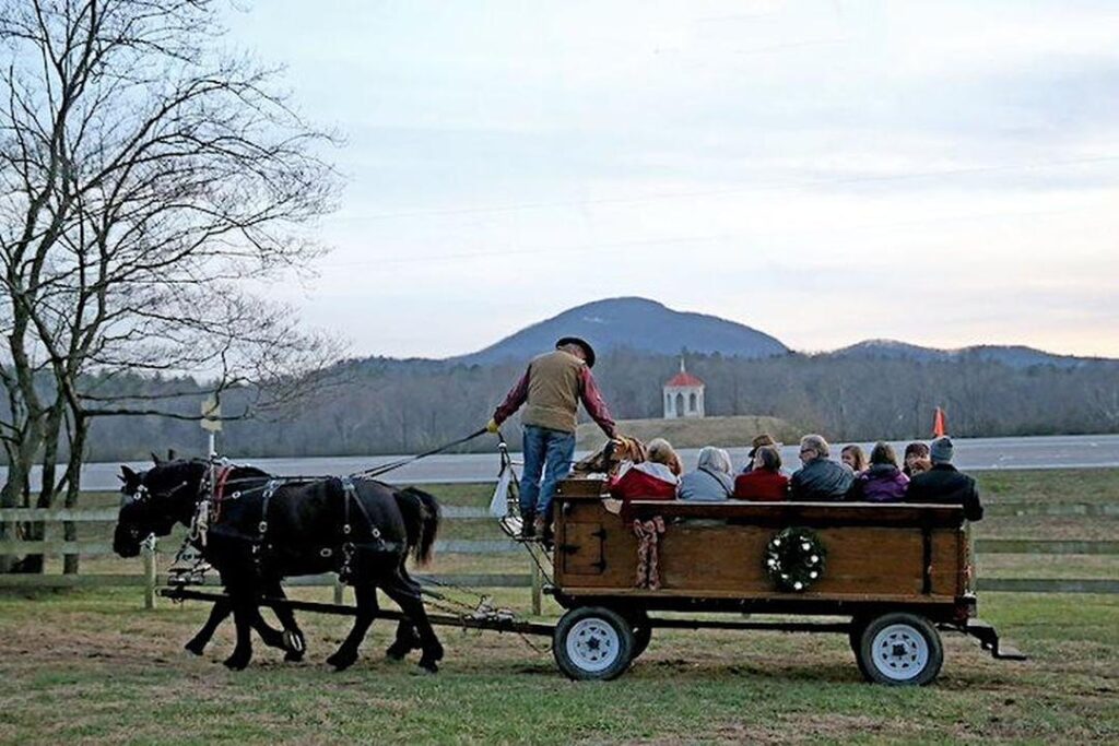 A man leading a horse-drawn carriage ride at the Victorian Christmas in Helen GA at Hardman Farms