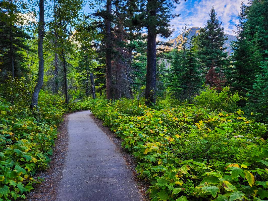 A paved portion of the Trick Falls trail in Glacier National Park
