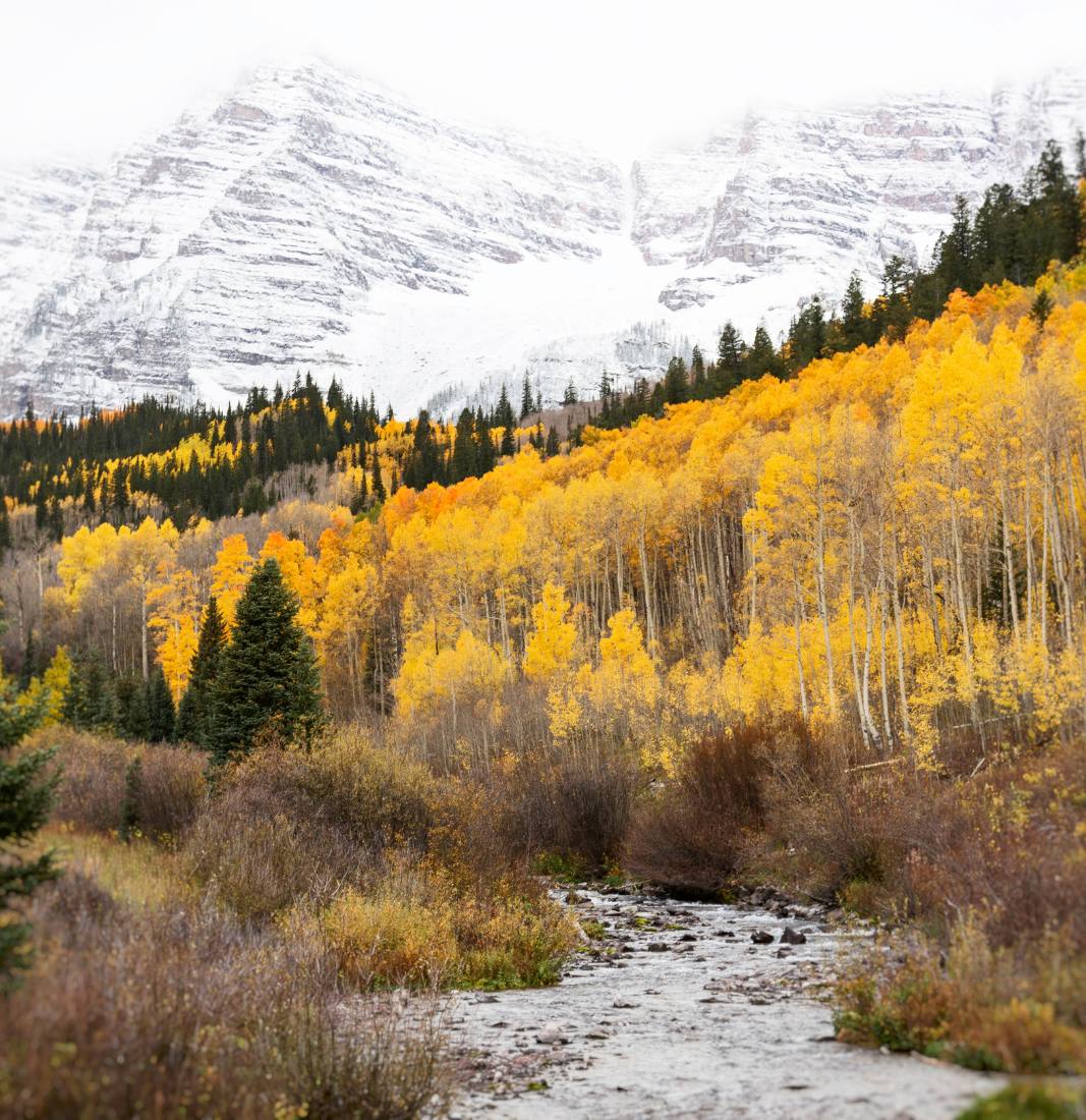 Snow-covered Maroon Bells mountains above forests of green and gold in Colorado