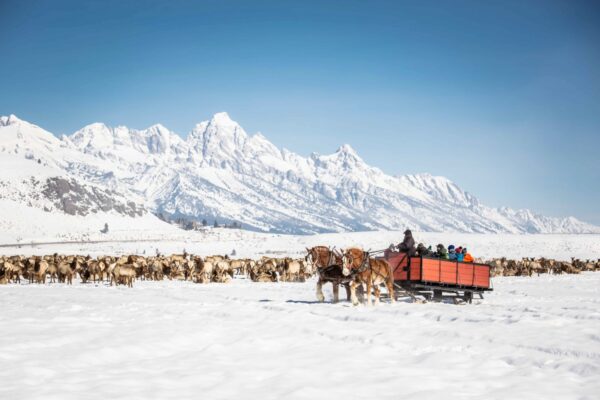 20 Amazing Things to Do in Jackson Hole in Winter