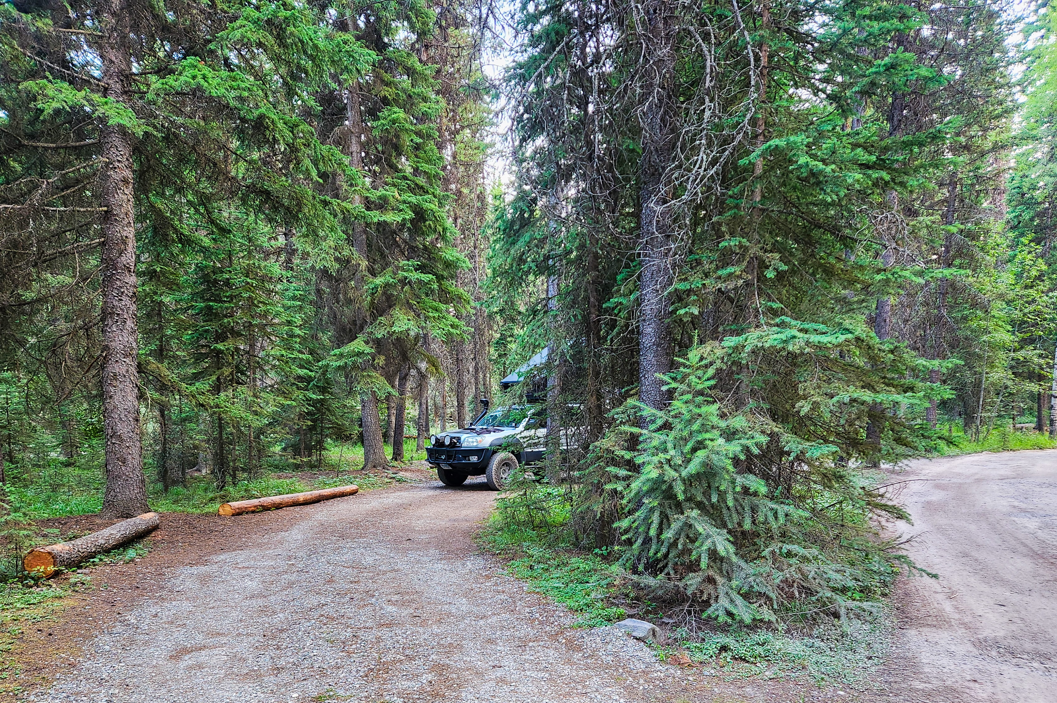 A Toyota 4runner with a rooftop tent tucked into trees at a Glacier National Park campground, Bowman Lake 